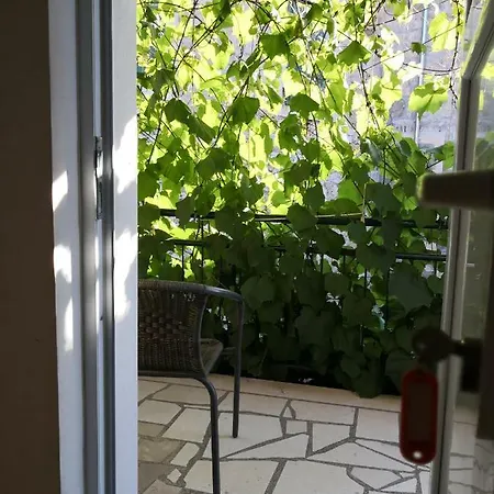 Jaksic بوستيرا