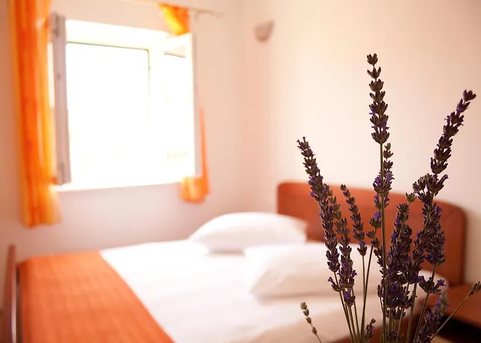 Apartman Jaksic *