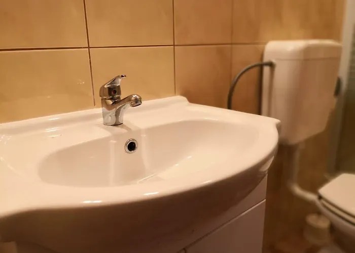 Jaksic Apartman *